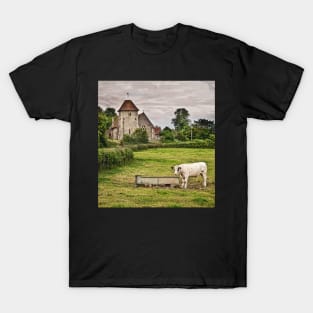 Meadow By The Church Aldworth Berkshire T-Shirt